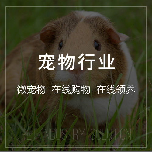 硬件APP开发中的鸡西工业传感器集成